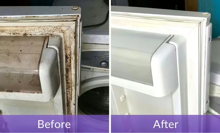 before-after-mold-ezgif.com-avif-to-webp-converter