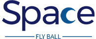 spaceflyball