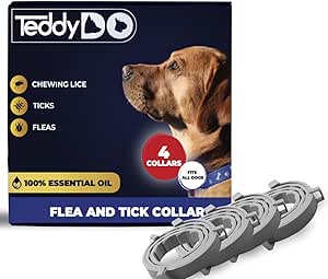 61qWo89kS3L._AC_SY300_SX300_QL70_ML2_