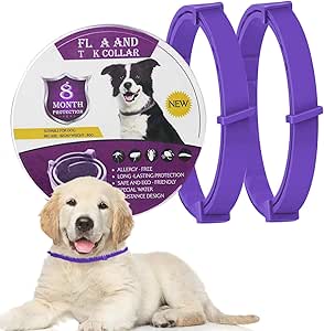 71A6V5tfHUL._AC_SY300_SX300_QL70_ML2_