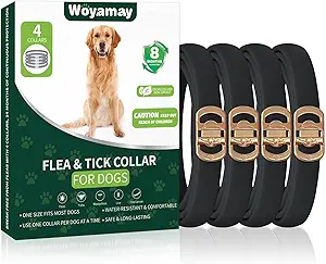 71UfnxXbllL._AC_SY300_SX300_QL70_FMwebp_