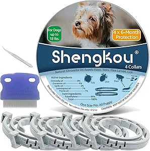 71Yr+9gBm1L._AC_SY300_SX300_QL70_FMwebp_