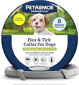 81MuFt2aEsL._AC_SY300_SX300_QL70_FMwebp_