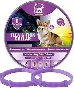 81qFGjdYKSL._AC_SY300_SX300_QL70_ML2_