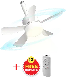 pro-1.png